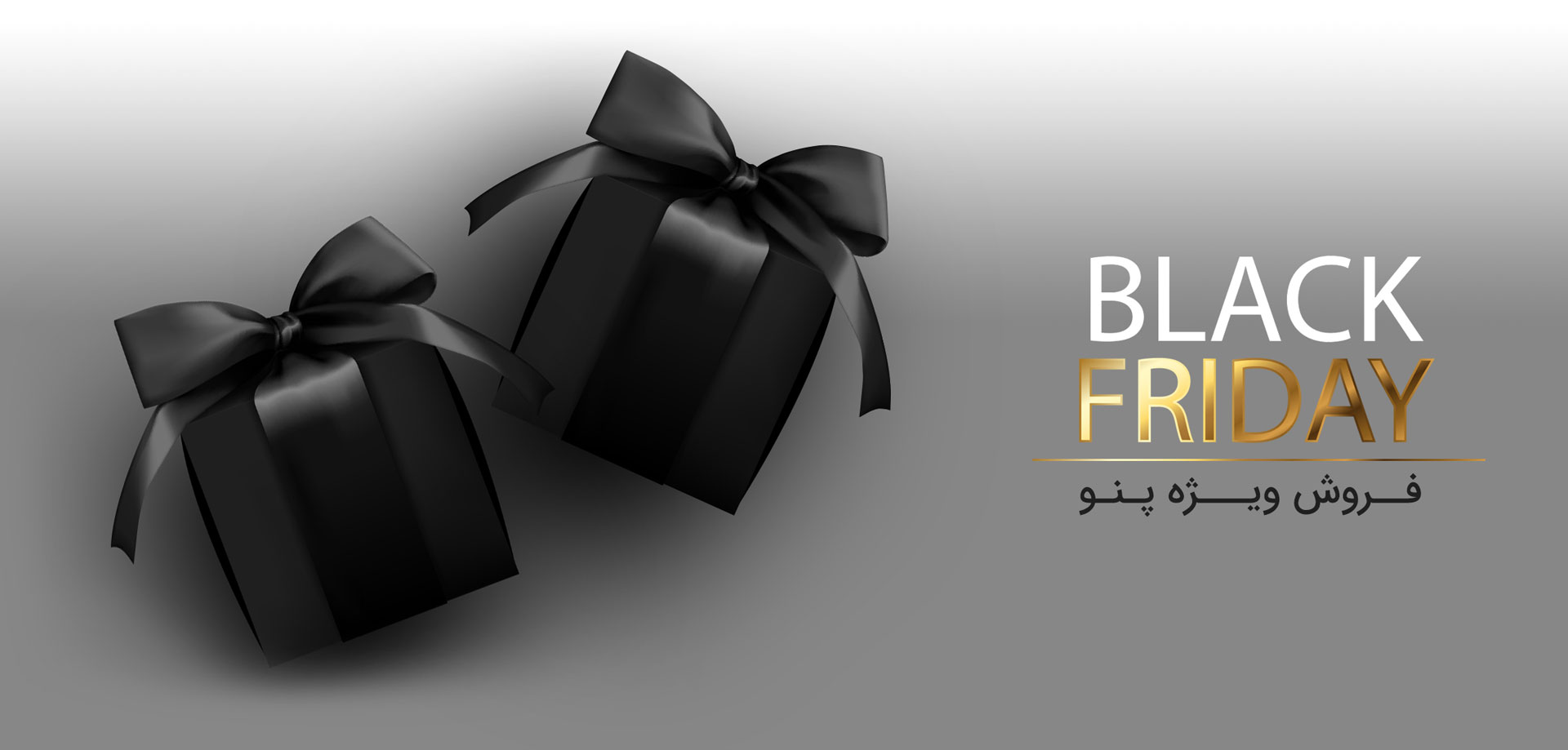 black-friday-peno-landing-page2